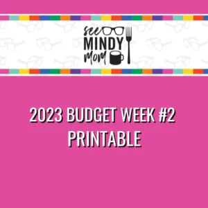 SMM Week of Family Budget Meals #2