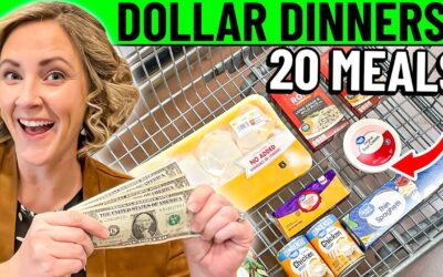 Quick & Easy $20 BUDGET Meal Prep!