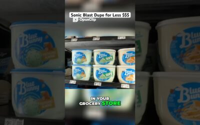 Save Money: Ice Cream Dupe for Sonic Blasts!