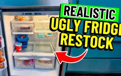 ✨REALISTIC✨ Fridge Restock & Meal Plan for a Family of 5