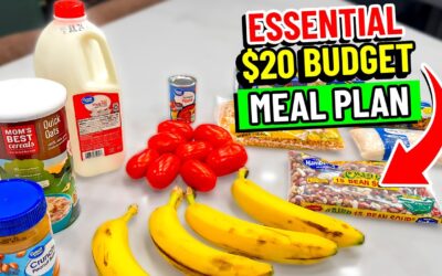 😱 $20 Buys a Week of Meals: The Essential Budget Meal Plan
