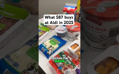 Regular Mom not trying too hard at Aldi…