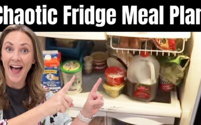 Use-It-Up Meals from My Chaotic Fridge SAVE Money!