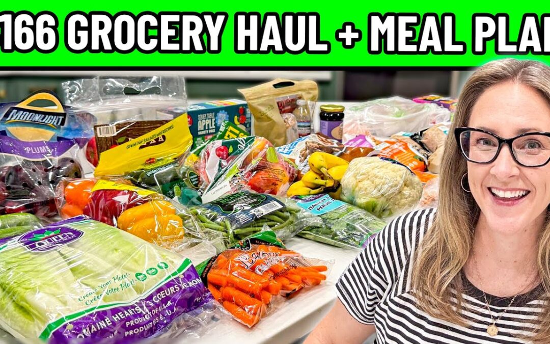 Regular Mom’s $166 Grocery Haul + Meal Plan for a Busy Family This Week