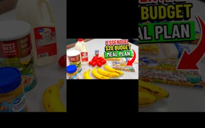 $20 budget. 7 days. Real meals.