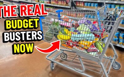 The real pitfalls of $150 budget week (it’s not dinners!) | Family Meal Plan