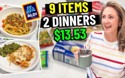 I Tried My Old $10 Aldi Budget Meal Challenge in 2026 | 2 Family Meals